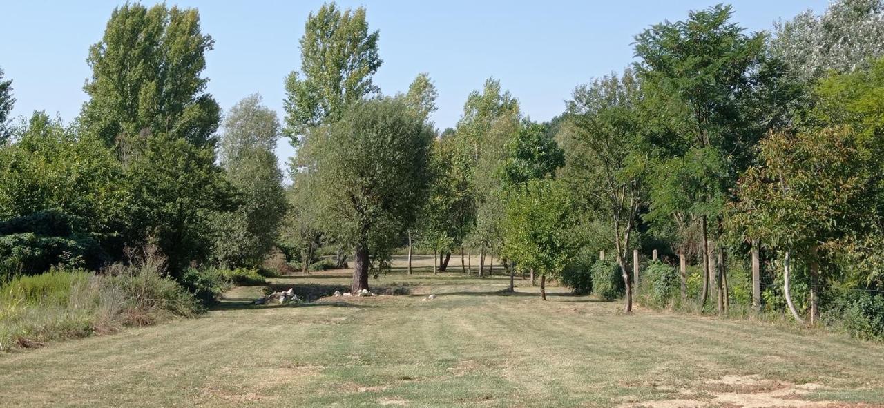 Vegvari Vendeghaz Magyarbóly Dış mekan fotoğraf