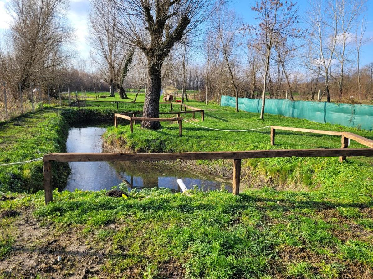 Vegvari Vendeghaz Magyarbóly Dış mekan fotoğraf